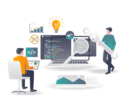 custom software development